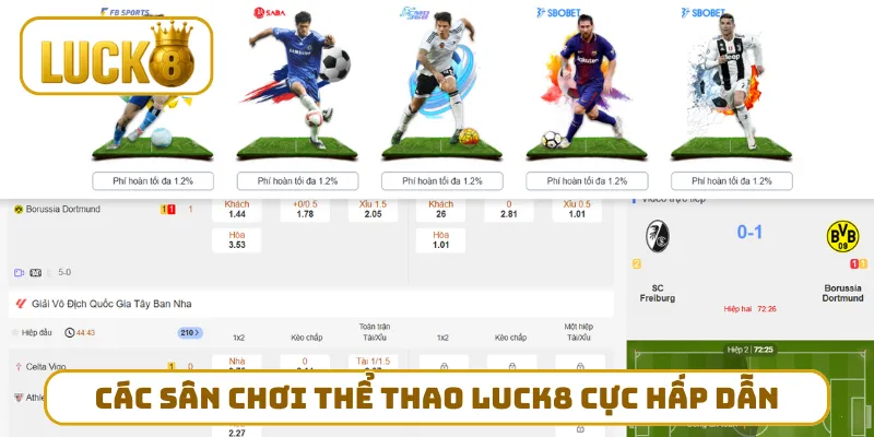 Các sân chơi thể thao LUCK8 cực hấp dẫn