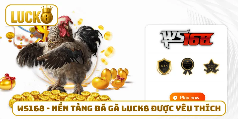 WS168 - Nền tảng đá gà LUCK8 được yêu thích